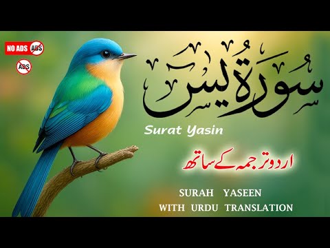 Surah Yaseen with Urdu Translation by Qari Ismail Al Nouri | Heart-Soothing Recitation | Episode 148