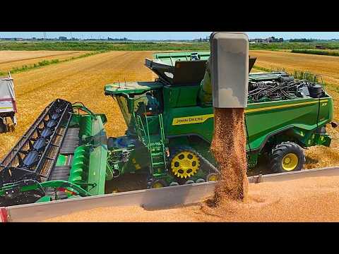WHEAT HARVEST 2025 COMPILATION JOHN DEERE NEW HOLLAND CASE IH FENDT