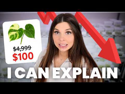 I accidentally crashed the rare plant market