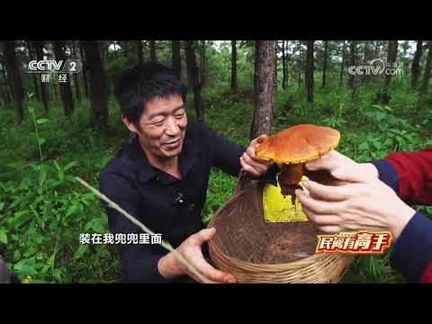 《生财有道》 20251001 民间有高手：菌市掌“鲜”人 |  财经风云