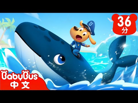 【新劇集】海妖的傳說 | 座頭鯨 | 車車 | 動畫 | Kids Cartoon | 安全教育 | 安全警長啦咘啦哆 | 寶寶巴士 BabyBus