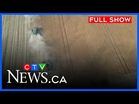 Canola prices rise as China deal brings relief for farmers | CTV News Regina at Six for Feb. 2, 2026