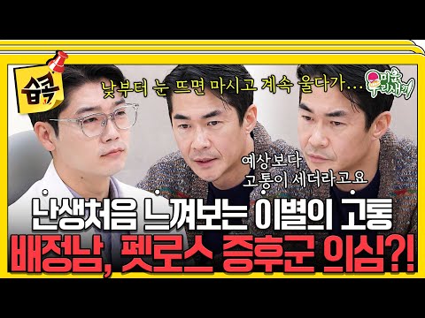 [#습콕📌] 벨과의 이별 후... 모든 펫로스 증후군 증상을 가지고 있는 배정남😭 정남의 현재 상태는 어떨지...?💥 #미운우리새끼 #MyLittleOldBoy #SBSenter