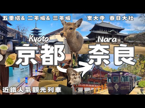 𝑾𝒊𝒏𝒕𝒆𝒓 𝑲𝒚𝒐𝒕𝒐 & 𝑵𝒂𝒓𝒂 🇯🇵𝒗𝒍𝒐𝒈｜Best Place to Visit｜🚃Sightseeing Express｜Nara Park🦌｜World Heritage Site⛩️