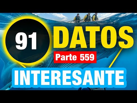 91 Datos Curiosos Que Te Sorprenderán