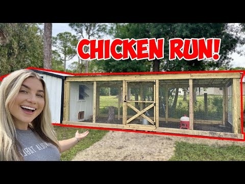 BUILDING A MASSIVE CHICKEN COOP RUN!