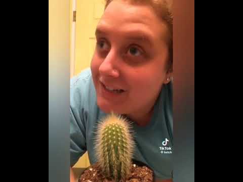 TikToks I Think About a Lot