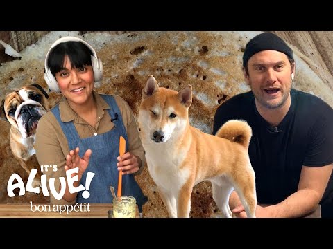 Brad and Sohla Make Dosas | It's Alive @ Home | Bon Appétit