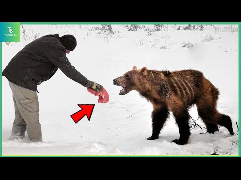 Animals That Asked People for Help & Kindness! Heartwarming Moments! #127