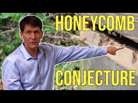 Why do Bees build Hexagons? Honeycomb Conjecture explained by Thomas Hales
