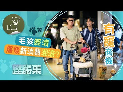 鏗鏘集：有寵商機