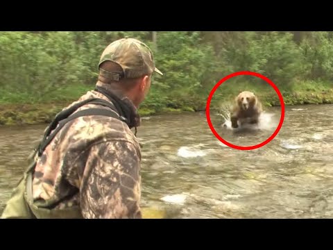 8 Bear Encounters You Really Shouldn't Watch