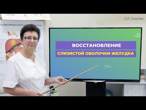 ВОССТАНОВЛЕНИЕ СЛИЗИСТОЙ ОБОЛОЧКИ ЖЕЛУДКА, ЧЕРЕЗ ПРАЙМ-ТЕСТ. [Шишова О.И.]