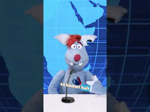 Passt einfach in alle Lebenslagen 😎😂 #woozlegoozle #jugendwort