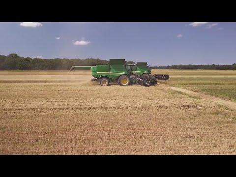 American farmers brace for impact as Strait of Hormuz closure drives fertilizer prices sky high