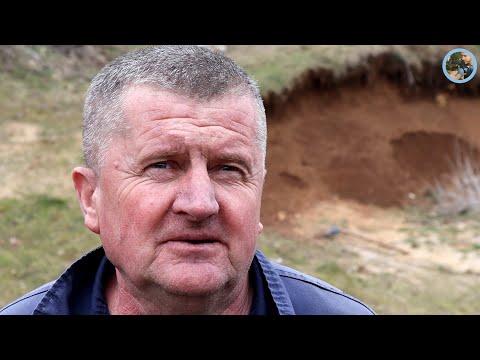 "Prodaše sve Arapima a dedo s mukom kupovao"