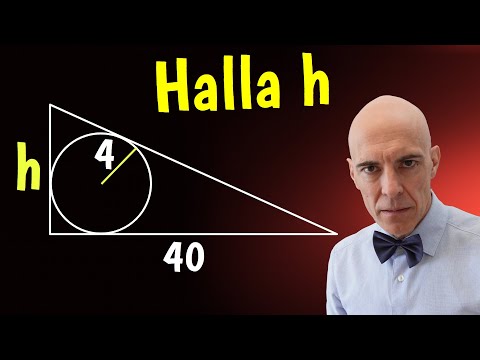 Few can calculate the height of the triangle🤯