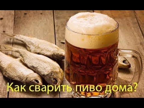 Как сварить пиво в кастрюле. Пиво для начинающих во всех подробностях. Очень простой рецепт!