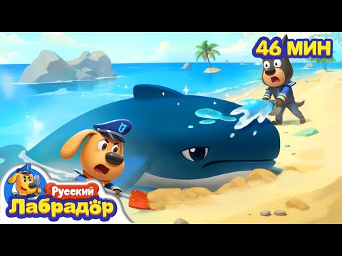 Ужасающий морской монстр｜Герой в жизни｜Безопасность Животных｜Сборник для детей｜Шериф Лабрадор