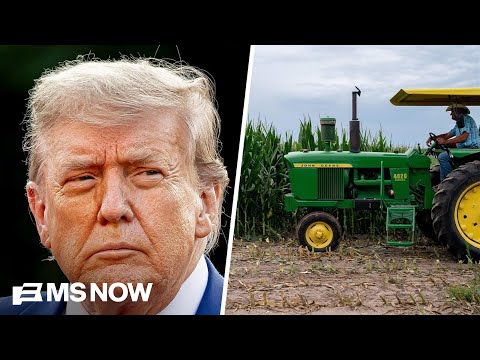 Trump's policies are 'ruining American agriculture': Soybean farmer