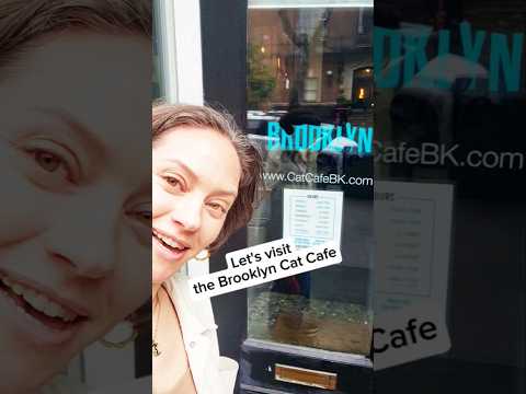 Cat cafe! Let's go inside 😻