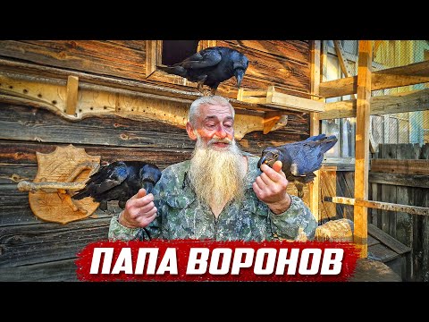 Такое я ещё не видел! | Оренбургская обл, Бузулукский р/н п. Колтубановский