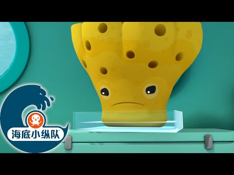 海底小纵队 - 海绵 | 2集完整版
