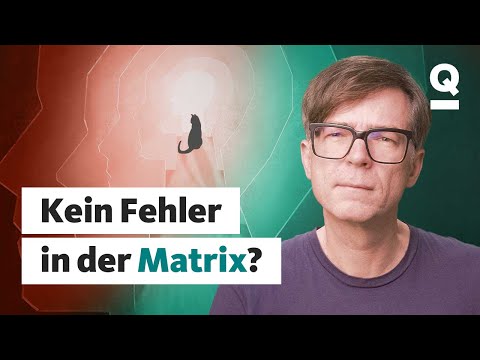 So entstehen Déjà-vus | Quarks Dimension Ralph