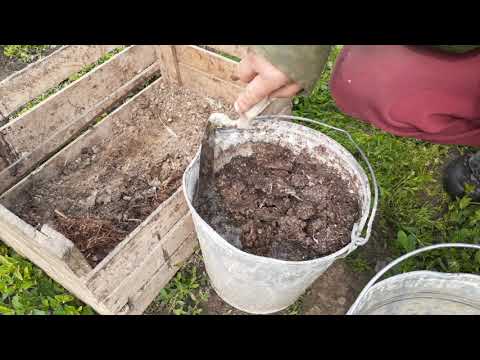 КУРИНЫЙ ПОМЁТ КАК УДОБРЕНИЕ/ГОТОВИМ ПРАВИЛЬНО