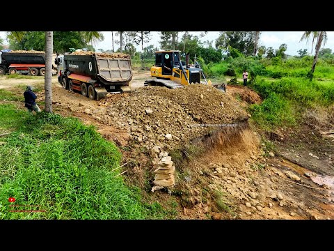 Exquisite Is Starting Project! This Huge Pond Heavy Was Deleting With 25tDumper Truck & Dozer Erase!