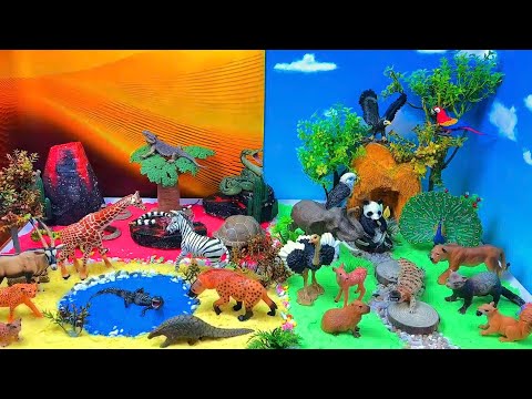 Explore 3 Wild Animals! ππ¦π Jungle and Savanna Diorama
