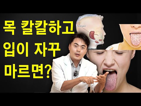 이쪽 점액이 마르고 있다는 신호입니다