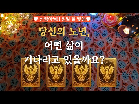 타로]✨신점아님 🔆🔆엄청 잘 맞는 타로 ❤❤ 당신의 노년,어떤 삶이 기다리고 있을까요? #tarot #타로 #타로운세 #타로리딩