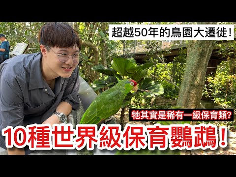 大遷徙！跨越50年的巨大鳥園搬家變革？盤點「飛禽公園」的10種世界級保育鸚鵡！【鸚鵡小木屋也要升級了！】