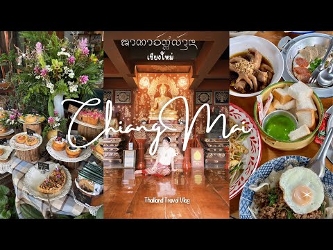 【清邁6日5夜🇹🇭】日日瘋狂搵芒果糯米飯！泰北菜世一！Thailand Chiang Mai 6D5N mango vlog 🥭🪷