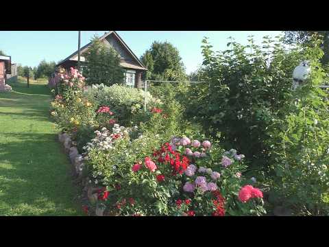 Самая цветочная деревня. Дома на продажу. Красивая деревня в лесах. Деревня где хочется жить.