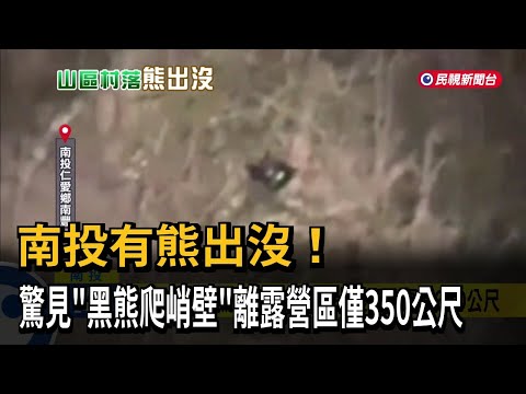 南投有熊出沒！驚見「黑熊爬峭壁」離露營區僅350公尺－民視新聞