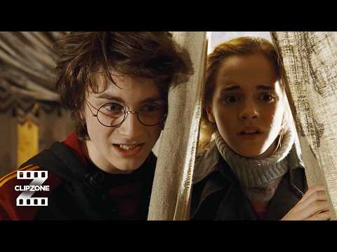 Harry Potter And The Goblet of Fire  | The Hungarian Horntail | ClipZone: Heroes & Villains