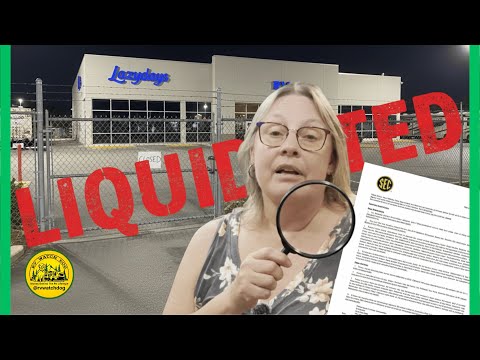 LAZYDAYS IS DEAD: The $143 Million Collapse No One Saw Coming