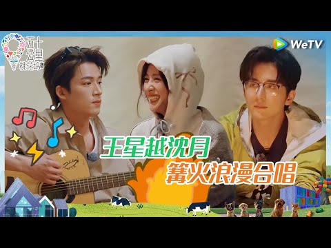 【EP6-下抢先看】王星越超绝肌肉线条 白背心海边散步氛围感拉满 孟子义挖石头表情凝重动作流畅 埋头干半天发现白干悄悄破防《五十公里桃花坞 第四季》Wonderland S4 EP6-2 CLIP