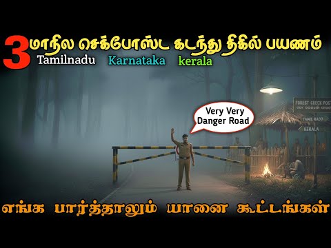 🚷 எங்க பார்த்தாலும் யானை கூட்டங்கள் 🐘 Very Very Danger Road ⛔ #deepforest #night #elephant #