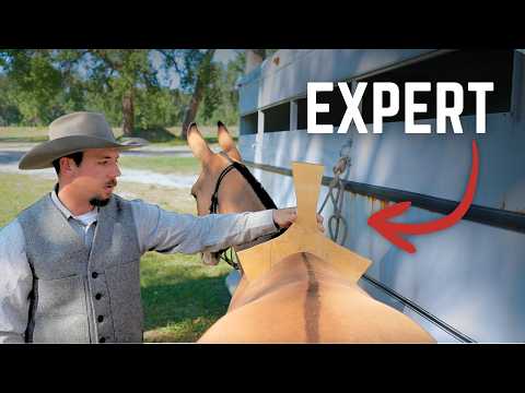 Horse vs. Mule: Pro Saddle Maker Explains the Difference!