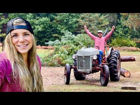 The old tractor's still got it! Moving logs and making progress! 