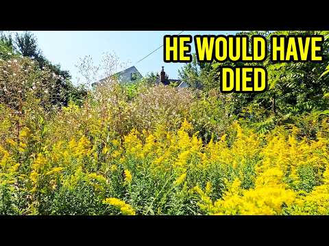 Nobody would help this Family with this Terrifying yard, now we know why!