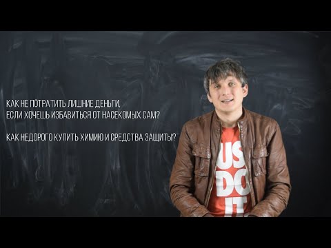 Как потравить насекомых самому и не потратить на это лишние деньги?