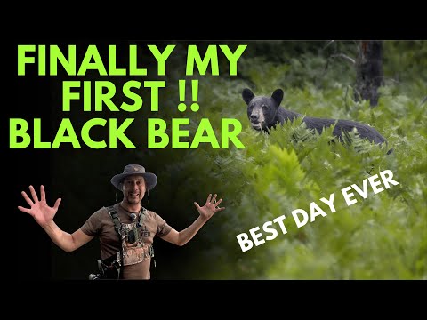 FIRST-EVER Sighting of BLACK BEARS in Algonquin Provincial Park! - Wildlife Photography Adventure