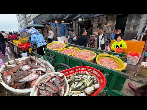 廣東茂名電白博贺魚港码头 廣東省最大漁港之一 海鮮市場 海鮮批發 海鮮加工 美食 探店 皮皮蝦 石斑魚 河豚魚 海鮮交易市場 Street Food Citywalk  4K