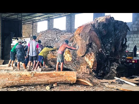 Dramatic process! Super tough and tense giant trembesi wood sawing I Sawmill