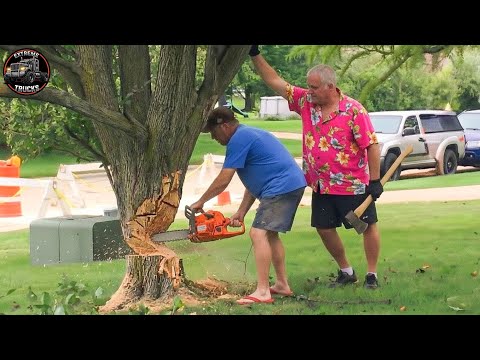 Idiots With Chainsaws: Extreme Tree Cutting Fails & Dangerous Logging Truck Accidents#3