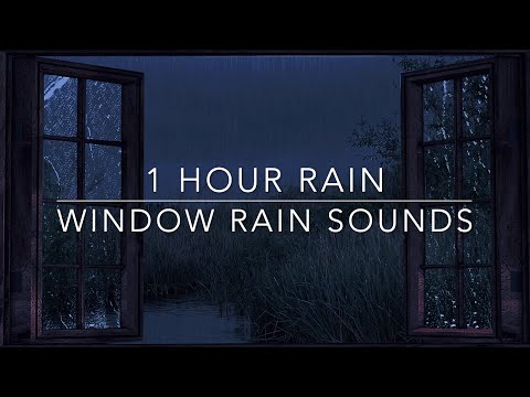 Heavy Rain and Thunder - Window Rain Sound - 1 hour Rain Sounds for Sleep - Green noise